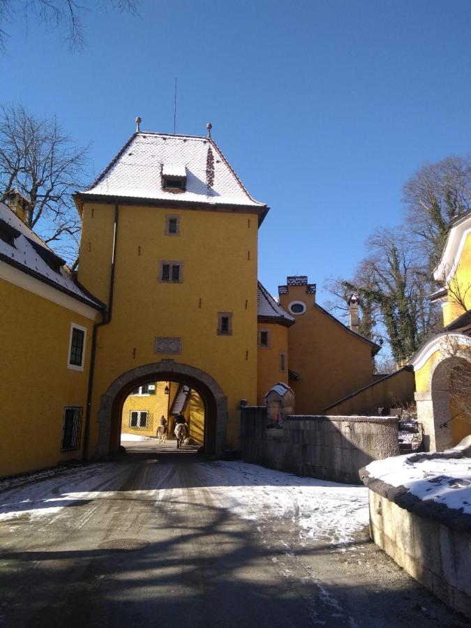 Gaestewohnung Schlossblick Grodig Luaran gambar