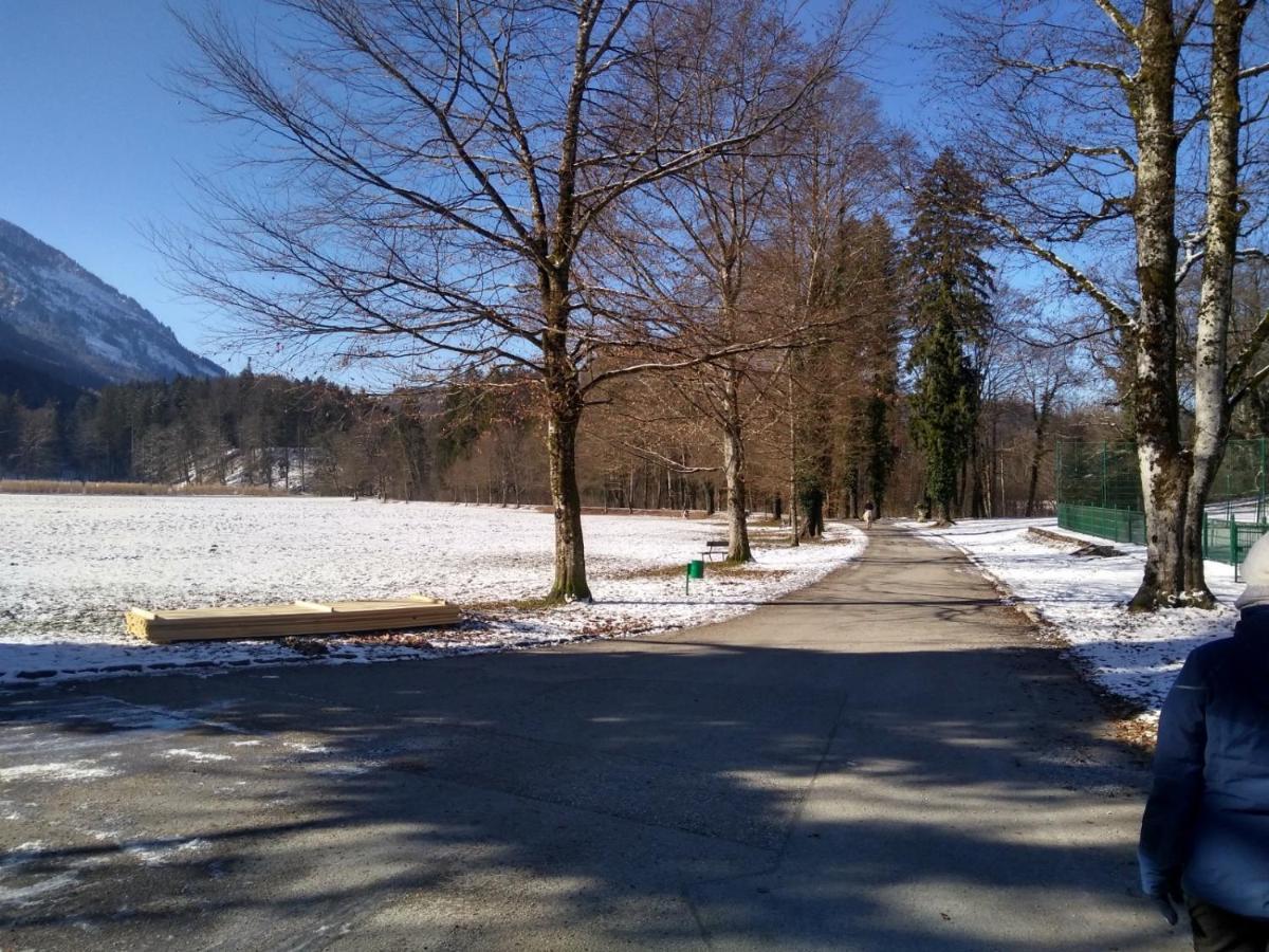 Gaestewohnung Schlossblick Grodig Luaran gambar
