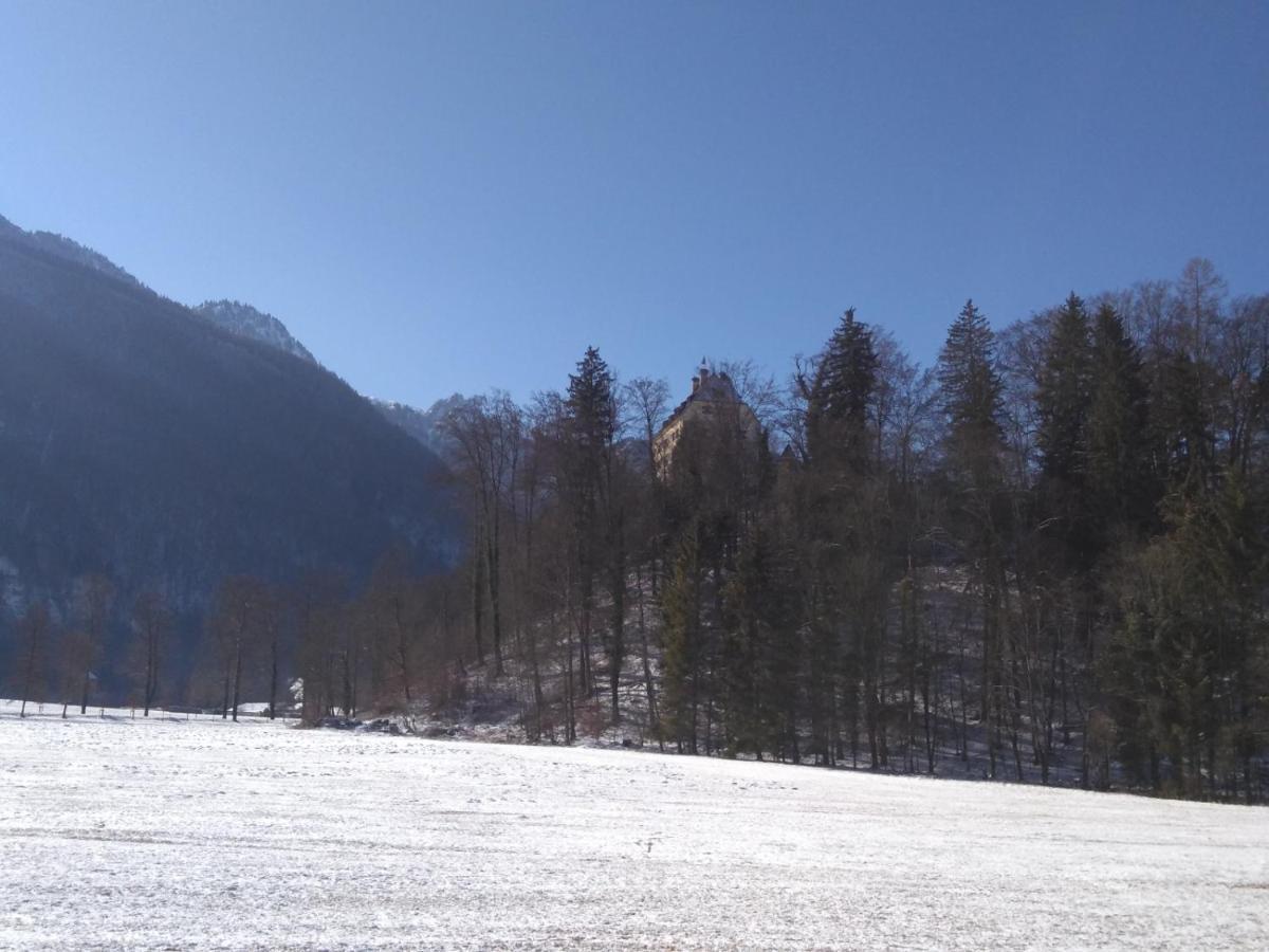 Gaestewohnung Schlossblick Grodig Luaran gambar