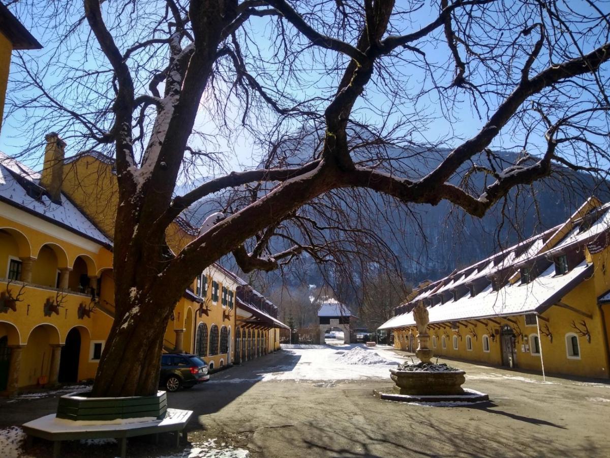 Gaestewohnung Schlossblick Grodig Luaran gambar